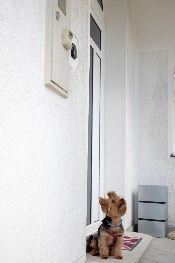 Apartment Vita Rijeka Dış mekan fotoğraf